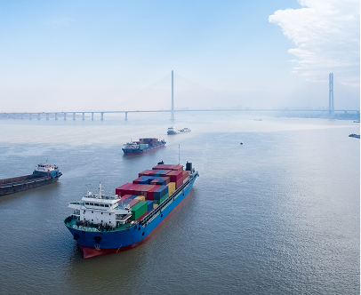 <p>200<sup>FLC’s</sup></p>
